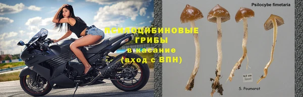 стафф Заволжск