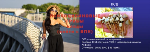 мяу мяу мука Заводоуковск