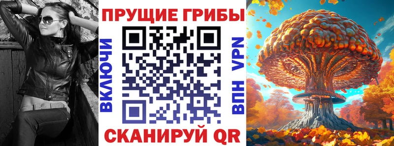 ссылка на мегу рабочий сайт  закладки  сайты даркнета наркотические препараты  Псилоцибиновые грибы прущие грибы  Рудня 